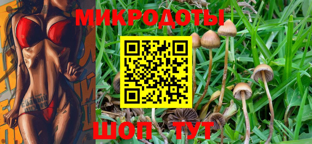 Галлюциногенные грибы Magic Shrooms Пушкино