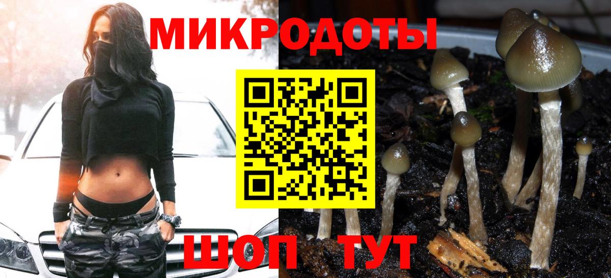 Пушкино  Галлюциногенные грибы Cubensis  Вход с VPN 